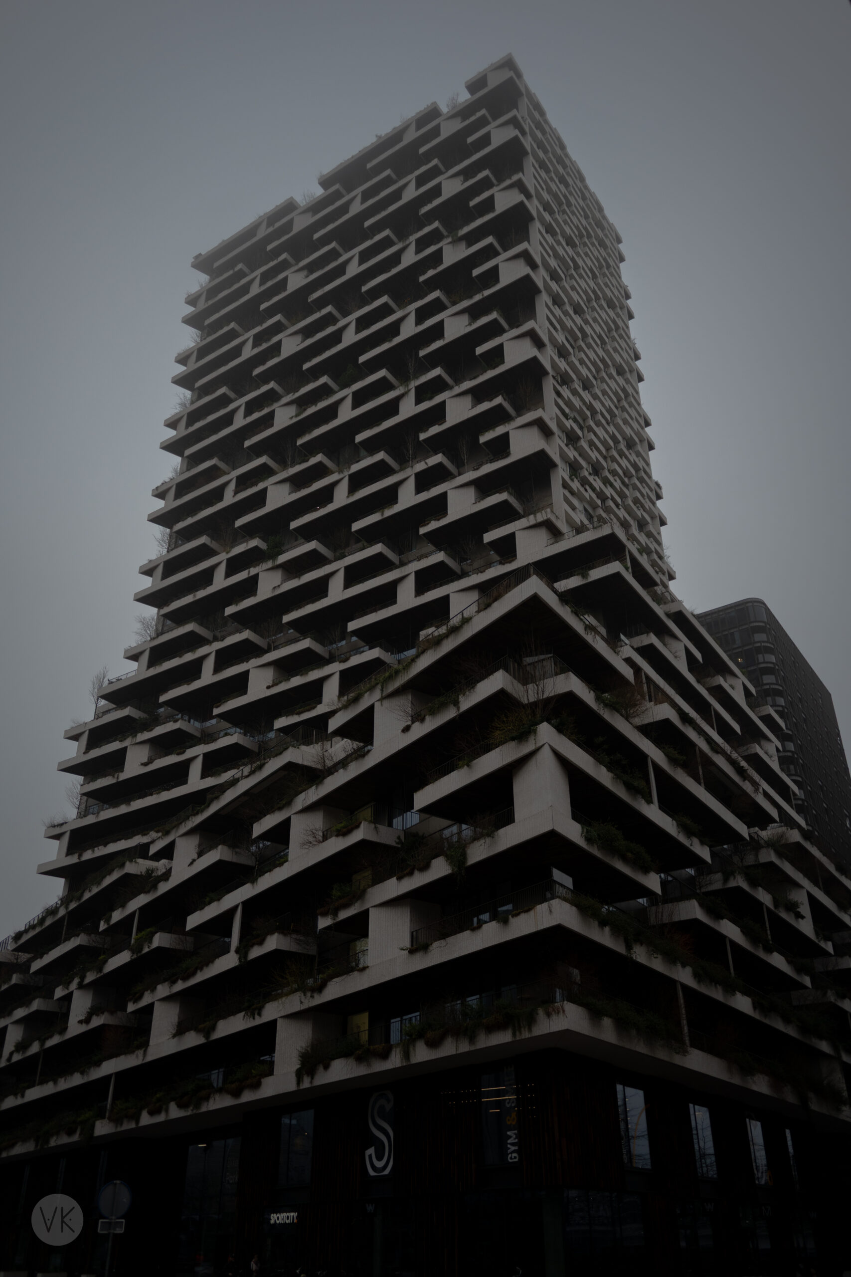 Day 36 – Building in the Mist